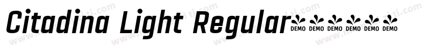 Citadina Light Regular字体转换